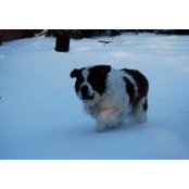 Chella Wherley's photo