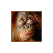 Foto von Paul Selibas