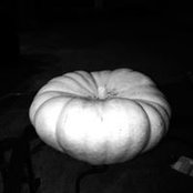 Pam McElwain's photo