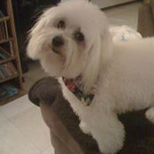 Jeanne Brouillette's photo