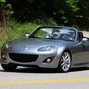Mark Burke's photo