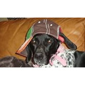Elizabeth Rivers's photo