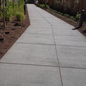 emergency access and pedestrian pervious concrete path
