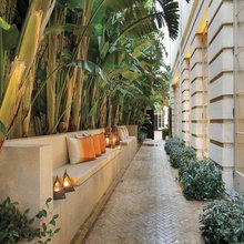 Landscape Ideas