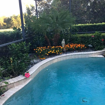 Landscape Renovation