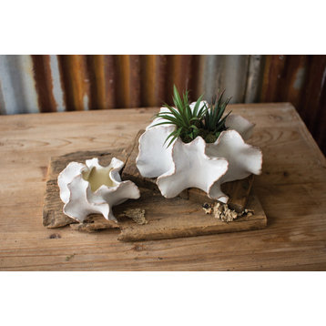 Wavy Shaped Organic White Ceramic Succulent Planters, 2-Piece Set