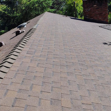 La Crescenta Copper Trail Shingles Roof
