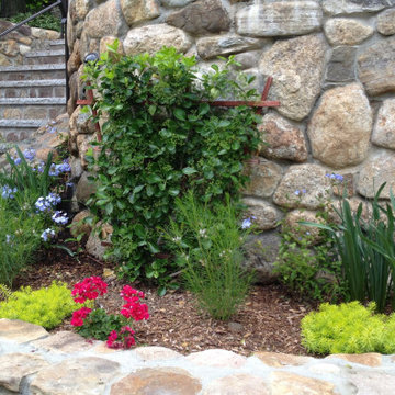 Lexington House on a Hill: when retaining walls dominate