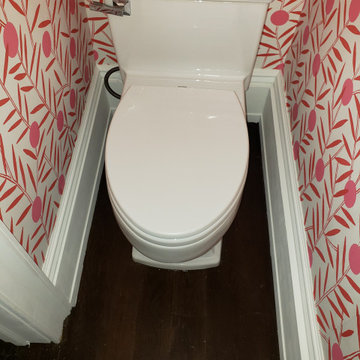 Renovation and Alteration to existing Duplex on Belmont Avenue