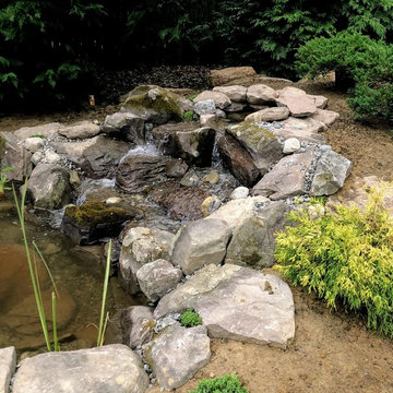 11x16' Ecosystem Pond in Haddonfield, NJ