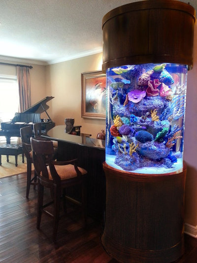 Классический Семейная комната by Aquatic Perfection Inc.