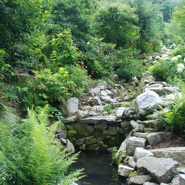 Water features