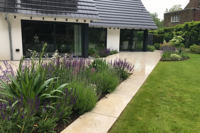 Inspiration for a medium sized contemporary back garden in Surrey with a flowerbed.