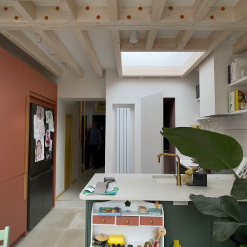 Colorful kitchen and garden renovation in Dulwich