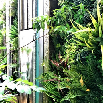 VistaFolia Compact Garden Design