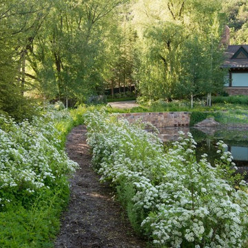 Willoughby Woodland