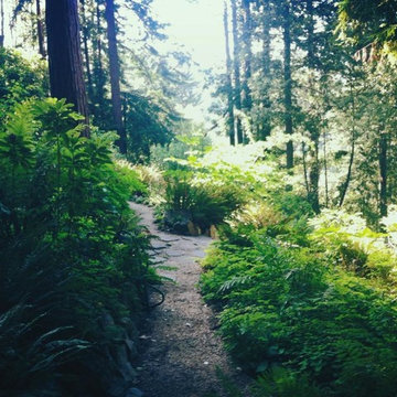 A Ben Lomond Native Plant Library