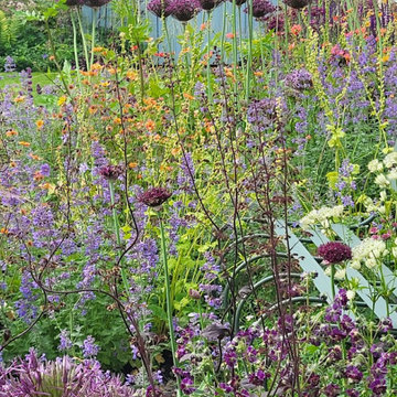 Bloom Dream Garden