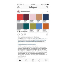 Mallard Design Materials and Paint Swatches