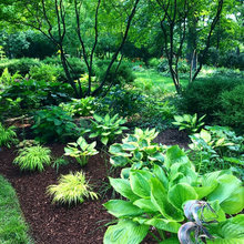 Pecan Landscaping