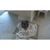 Kathy Brayton's photo