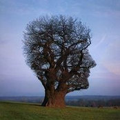Devon Cioffi's photo