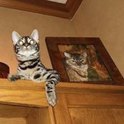 Julie Davis's photo