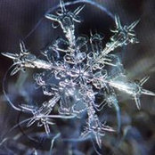 Cathy Leible Brundage's photo