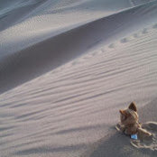 MiMi Wong's photo