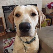 Christopher Pike's photo