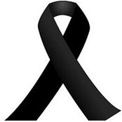 Ricardo Gallopp Ramirez's photo