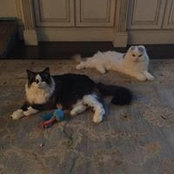 Foto von Martha Lemasters