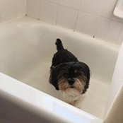 Kelli Shurtleff's photo