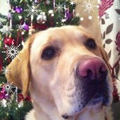 Tia Maria's photo