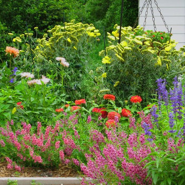 Summer Color