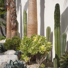 MCM hardscaping and garden