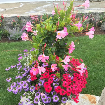 Planters