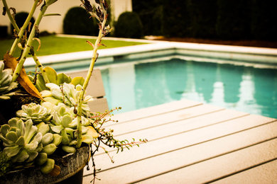 Pool - modern pool idea in Atlanta