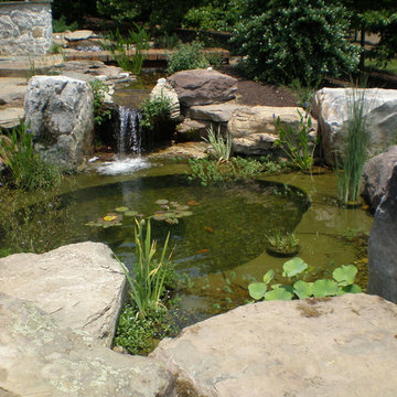 Hartford Co. - Natural Stream & Pond