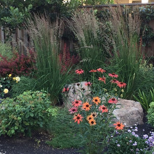 Mittelgroßer Stilmix Kiesgarten hinter dem Haus mit direkter Sonneneinstrahlung in San Francisco