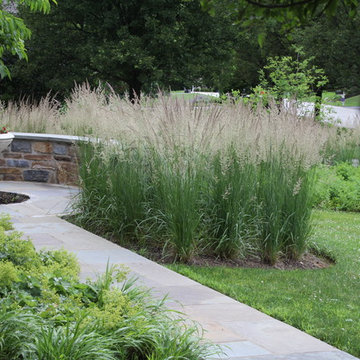Griffiths Gardens
