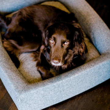 Pippa & Company Signature Dog Bed - Ascot Grey
