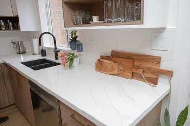 Trendy home design photo in Toronto
