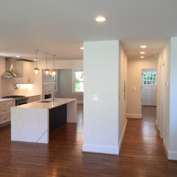 Del Ray Whole House Renovation and Addition