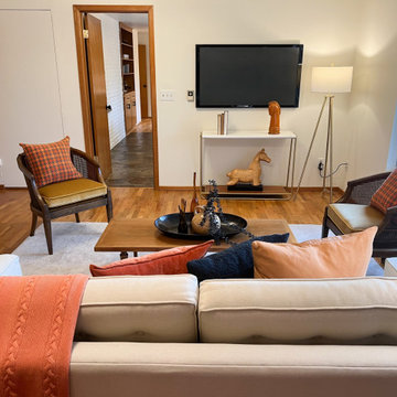 Mid-Century Modern Vibrant Home
