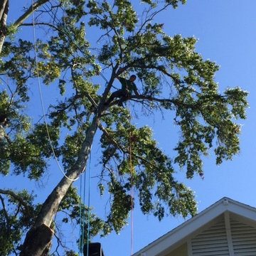 Removal Between Two Homes