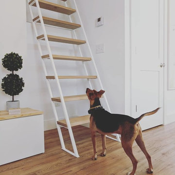 Jackson Storage Loft Ladder