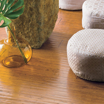 Teragren Bamboo Flooring