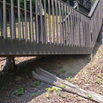 Lakeside Boardwalk and Decking improvements/additions