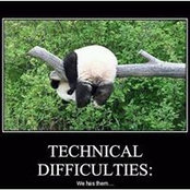 Tavies Jorrer's photo